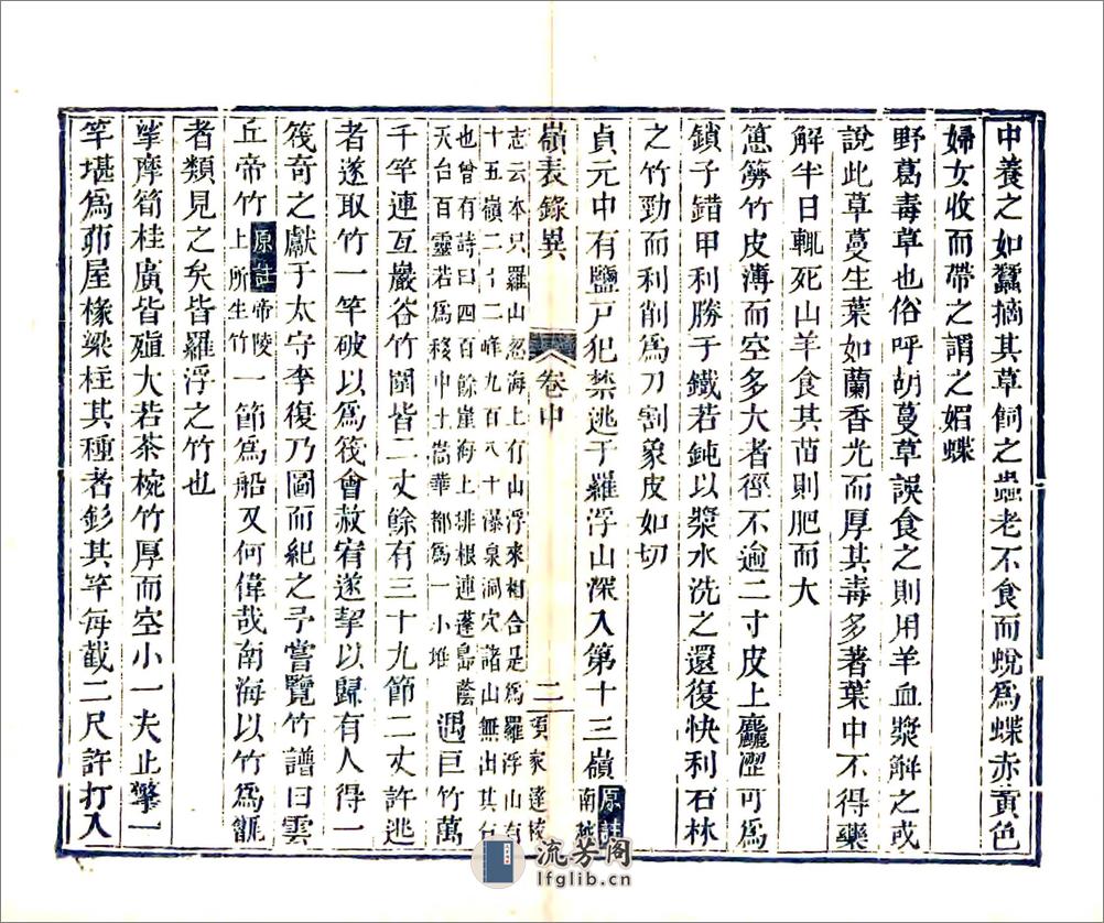 岭表录异 - 第16页预览图