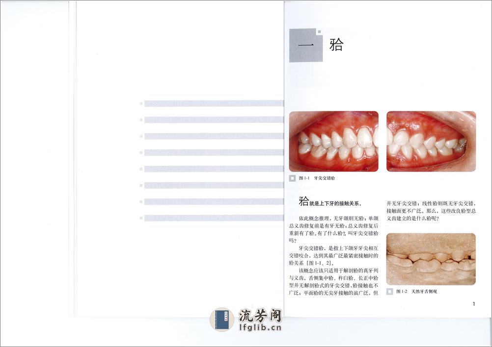 全口义齿合型 - 第6页预览图