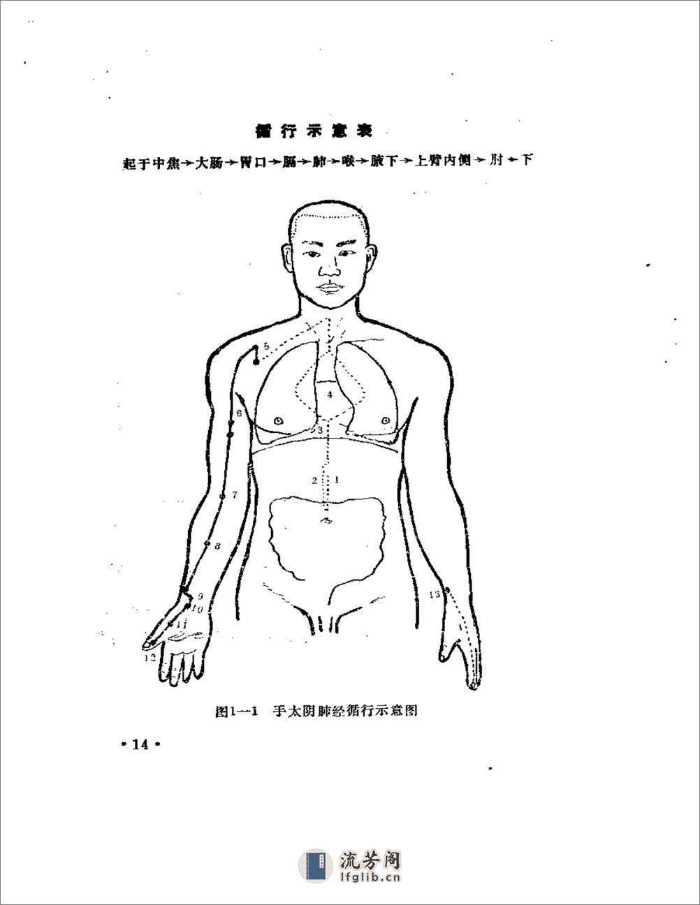 缪巨针刺发挥 - 第18页预览图