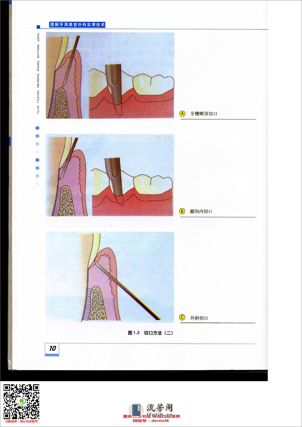 牙周美容外科技术基础 - 第10页预览图