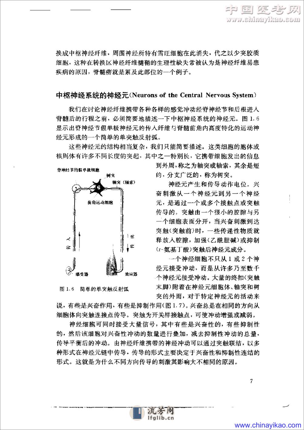 神经系统疾病定位诊断学——解剖、生理、临床 - 第20页预览图