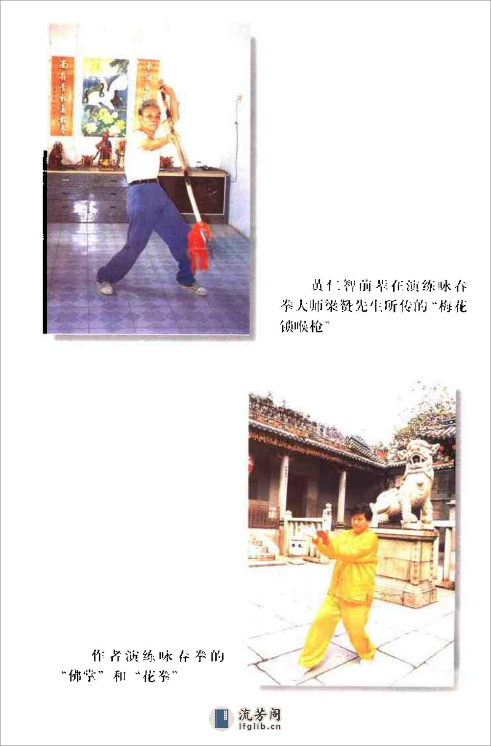 《咏春拳·续三——黏手与散打》韩广玖 - 第3页预览图