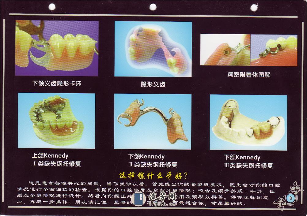 口腔精解图谱+多图片高清晰画册 - 第10页预览图