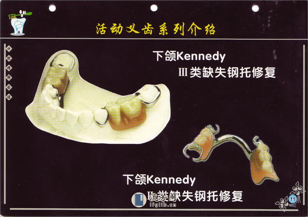 口腔精解图谱+多图片高清晰画册 - 第13页预览图