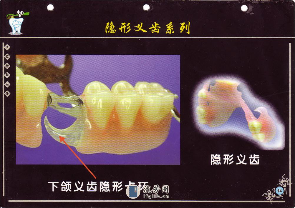 口腔精解图谱+多图片高清晰画册 - 第16页预览图