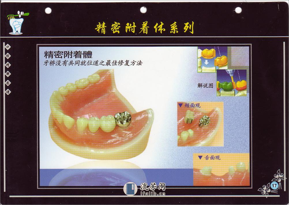 口腔精解图谱+多图片高清晰画册 - 第19页预览图