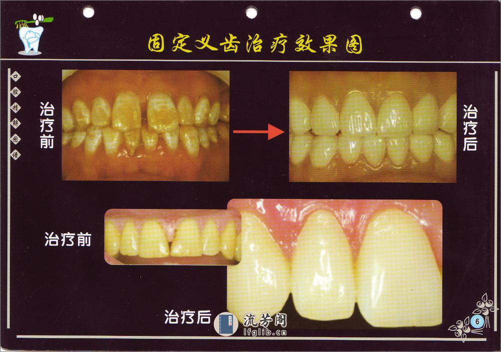 口腔精解图谱+多图片高清晰画册 - 第8页预览图