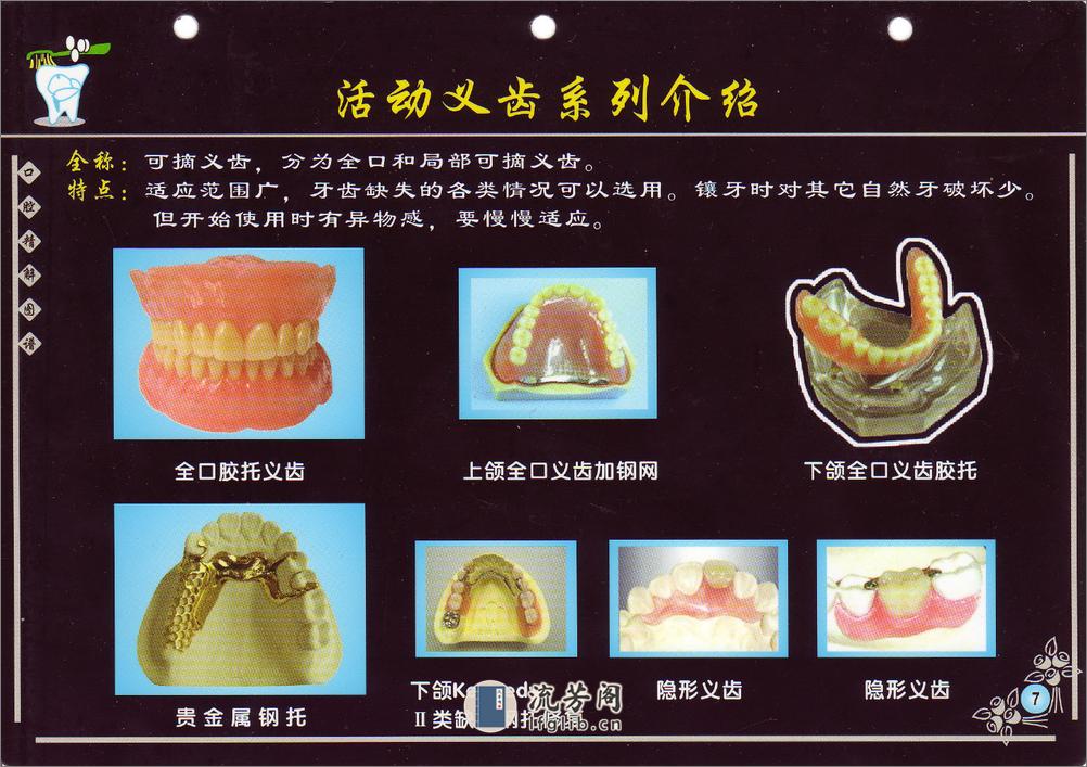 口腔精解图谱+多图片高清晰画册 - 第9页预览图