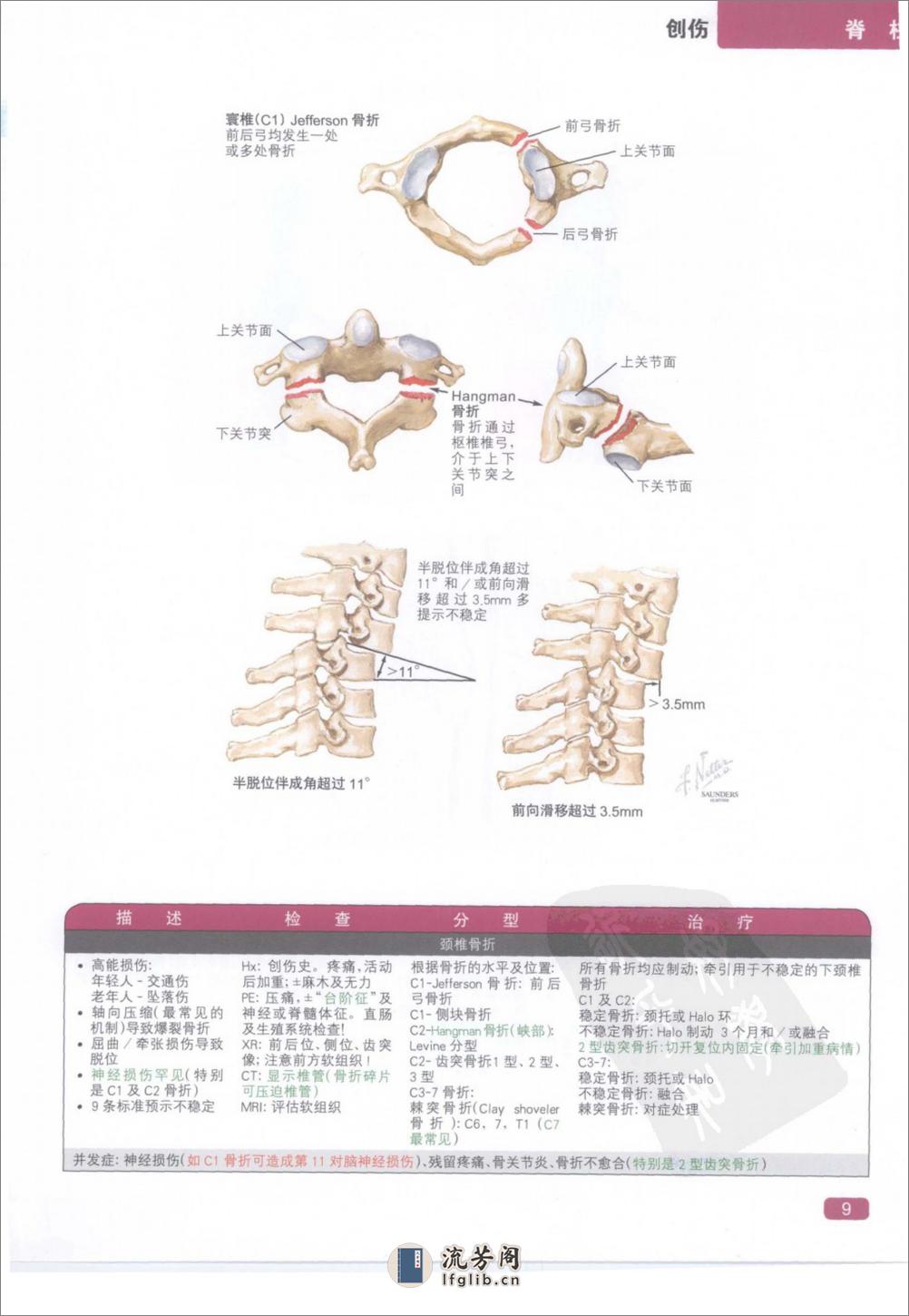 奈特简明骨科学彩色图谱（高清中文版） - 第17页预览图