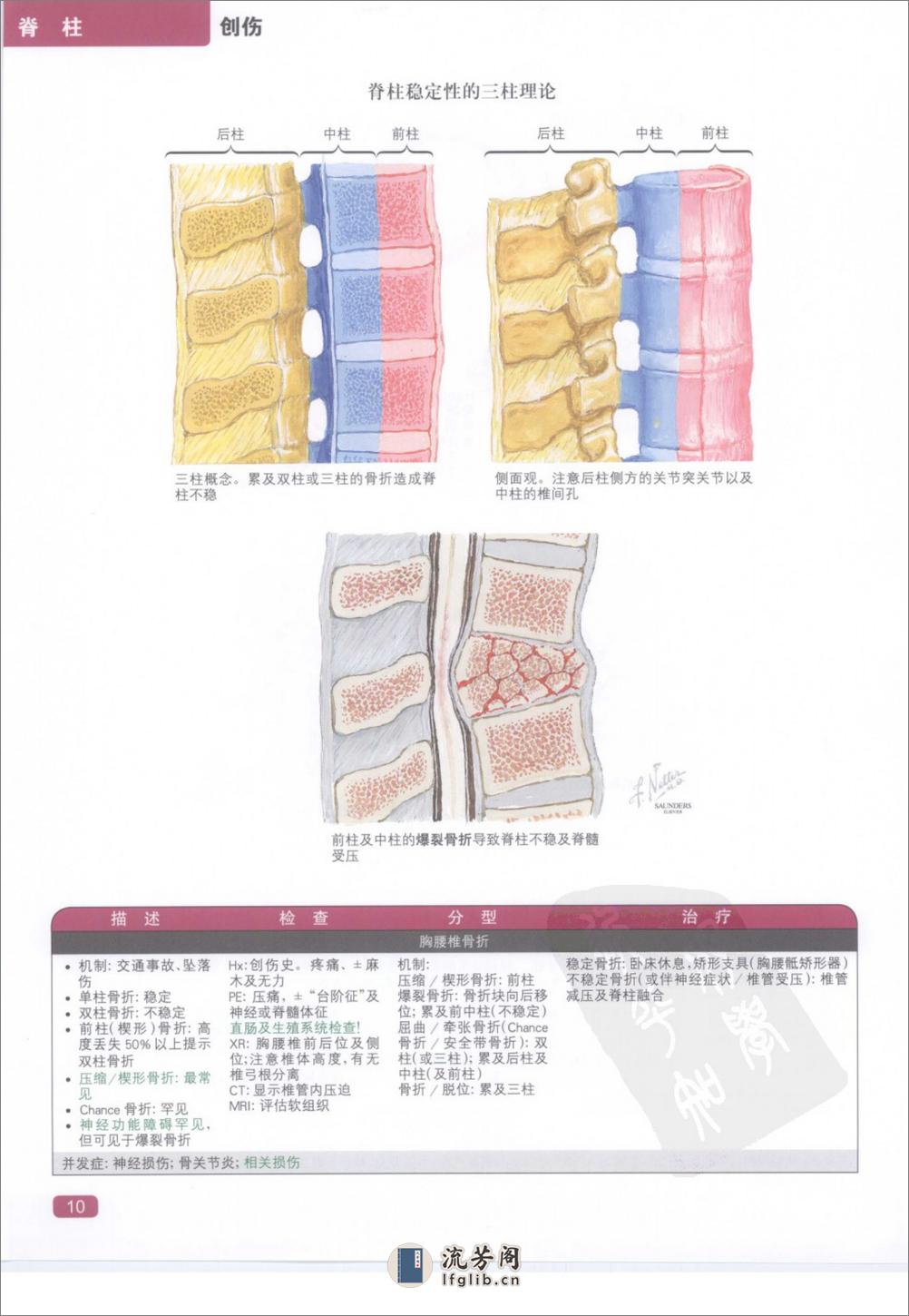 奈特简明骨科学彩色图谱（高清中文版） - 第18页预览图