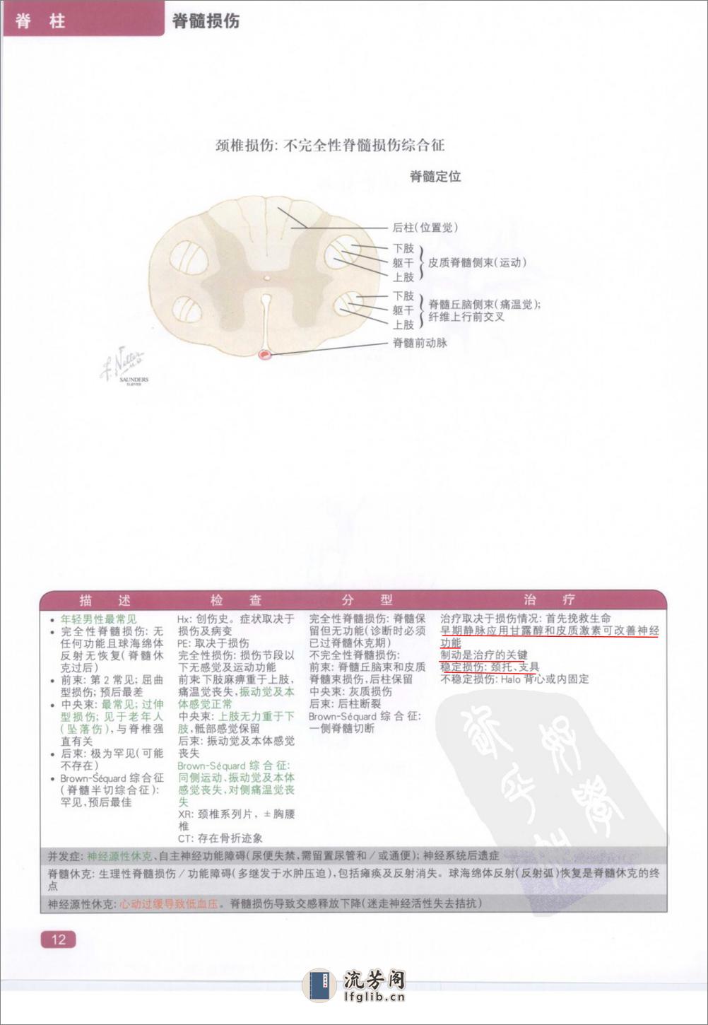 奈特简明骨科学彩色图谱（高清中文版） - 第20页预览图