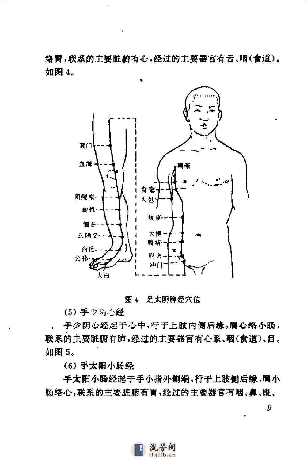 [学生健脑记忆功].黄建中(1) - 第14页预览图