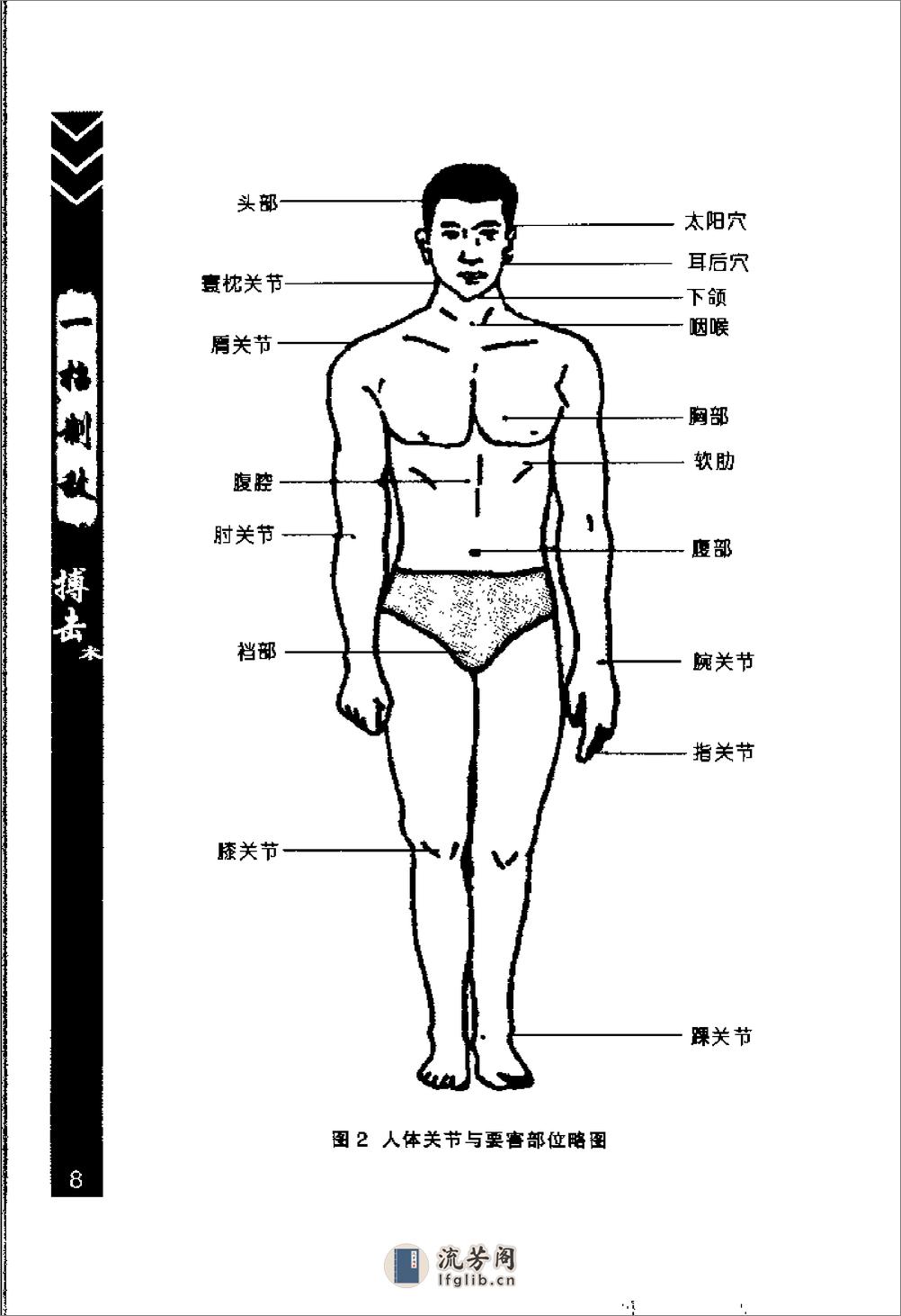 一招制敌搏击术（张正） - 第18页预览图