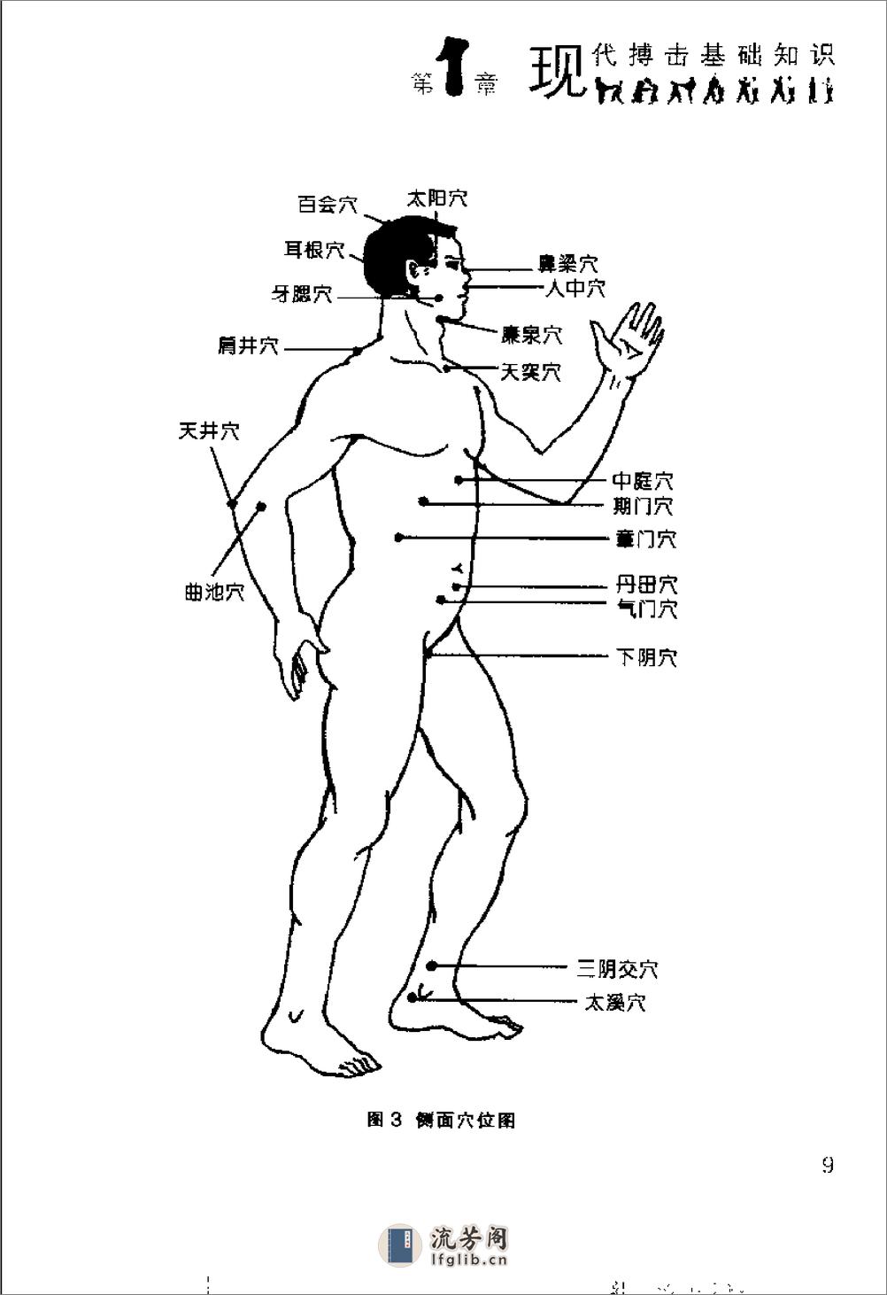 一招制敌搏击术（张正） - 第19页预览图