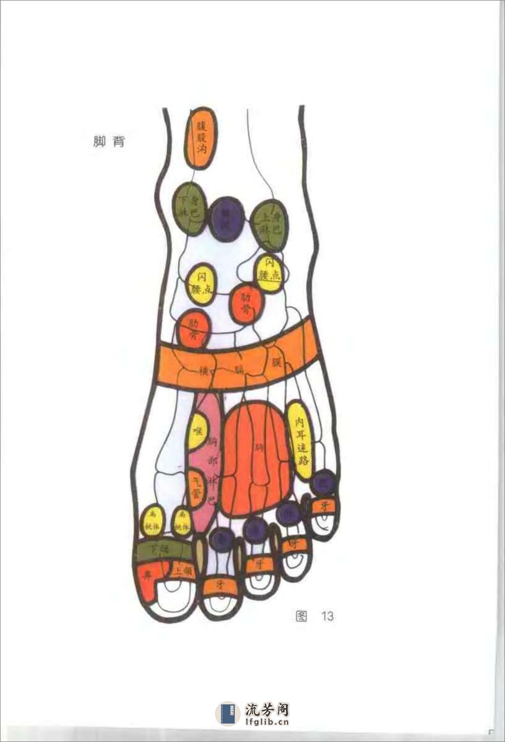 手足按摩与刮痧 - 第14页预览图