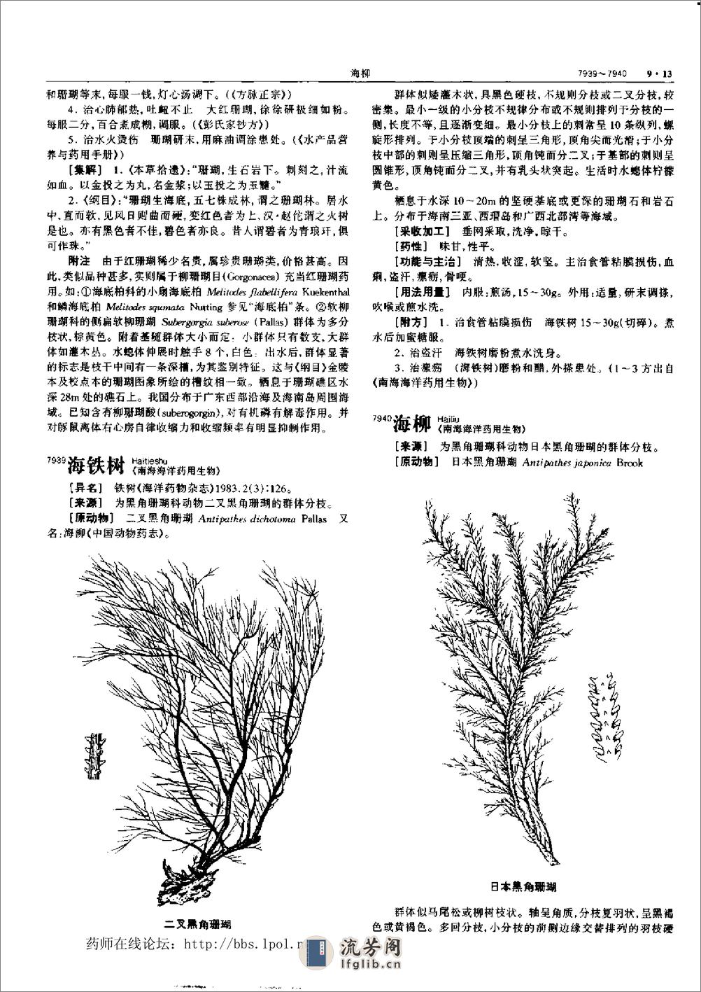 中华本草 9 - 第13页预览图