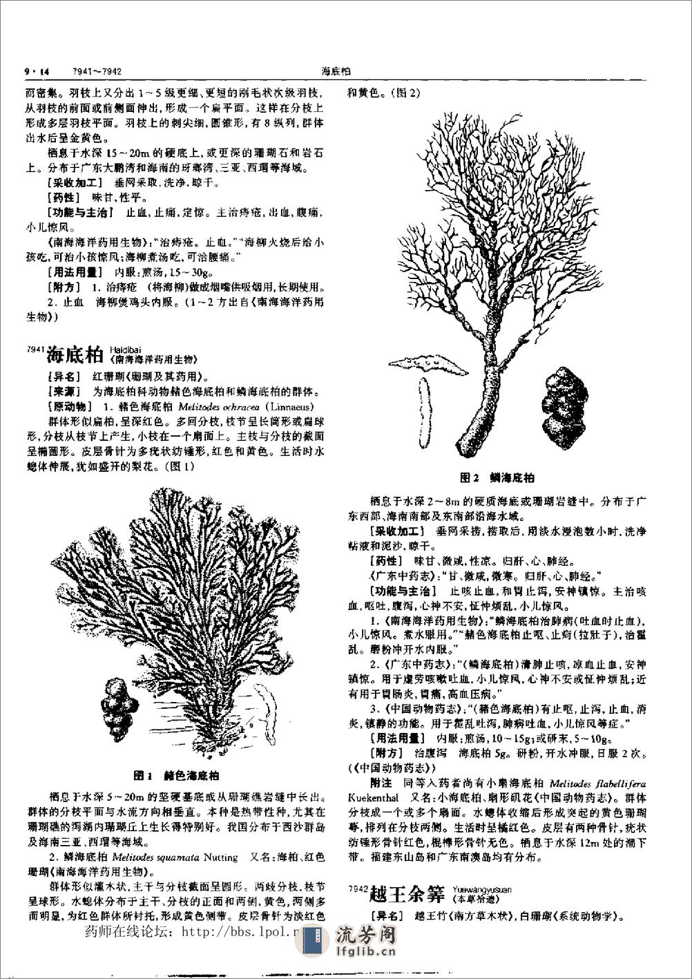 中华本草 9 - 第14页预览图