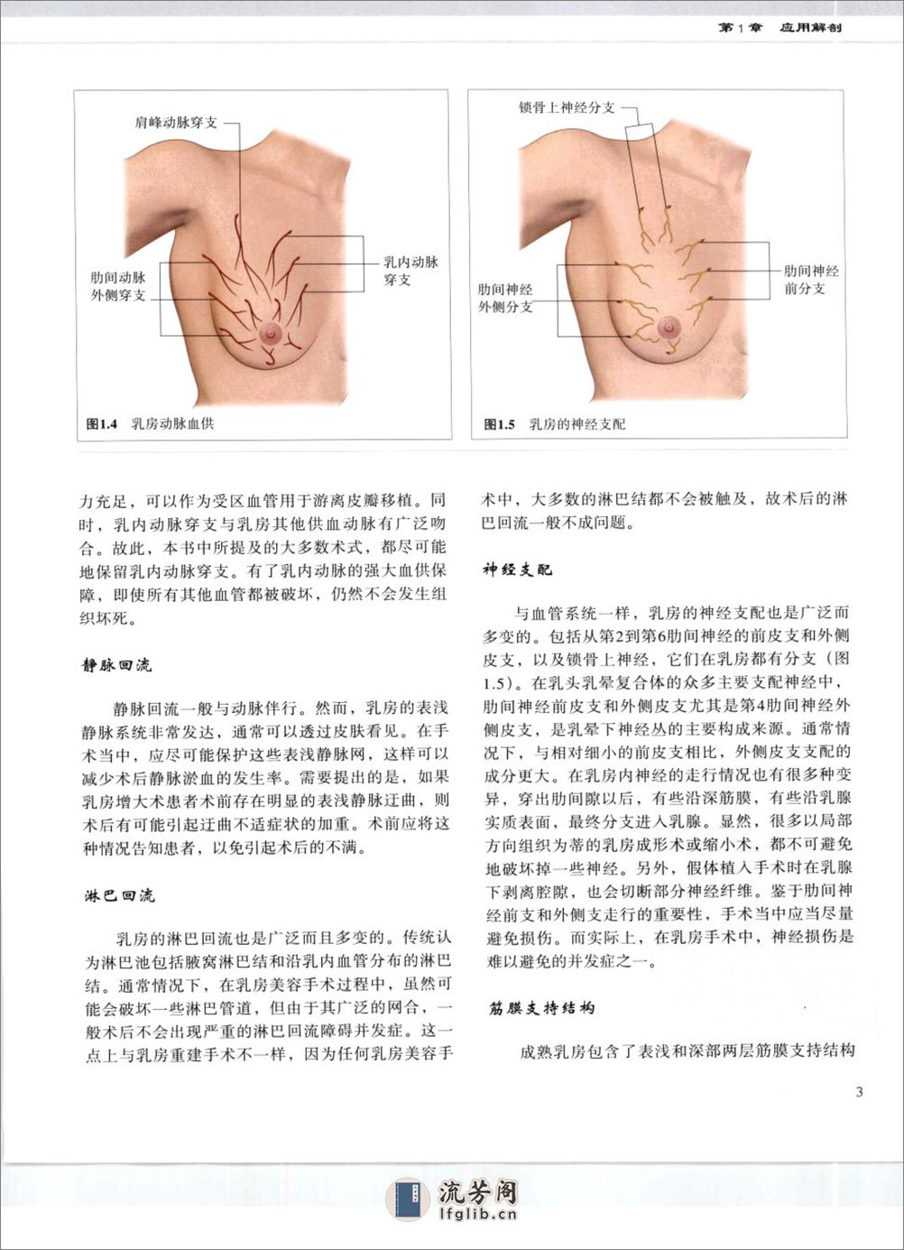 乳房美容外科手术图谱 - 第11页预览图