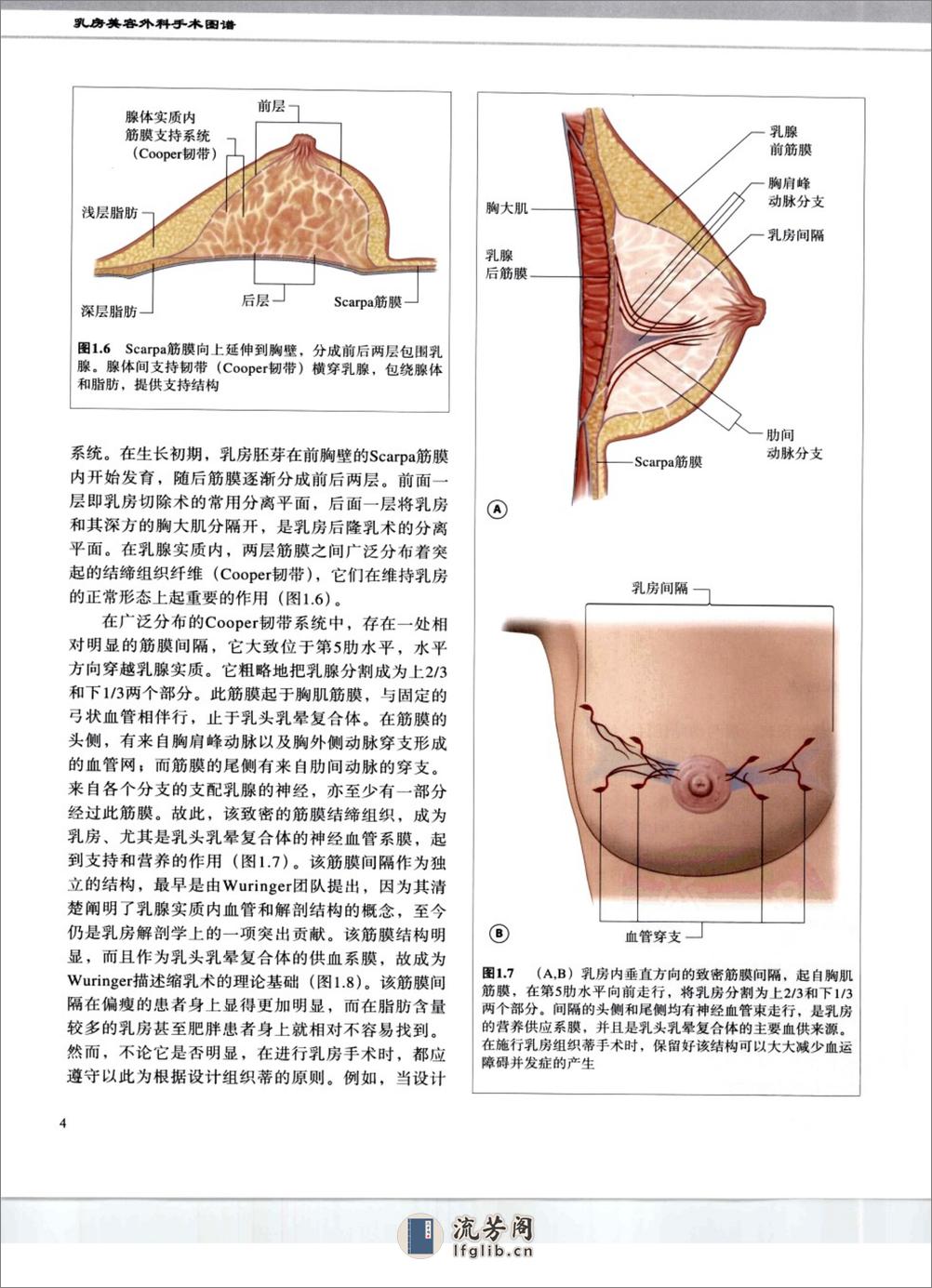 乳房美容外科手术图谱 - 第12页预览图