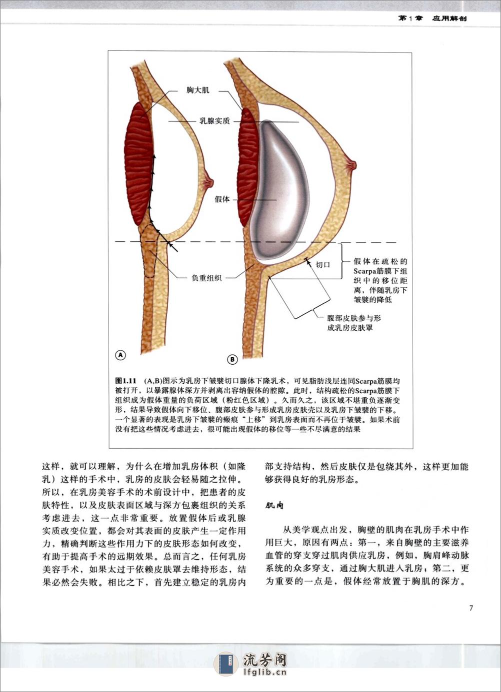 乳房美容外科手术图谱 - 第15页预览图