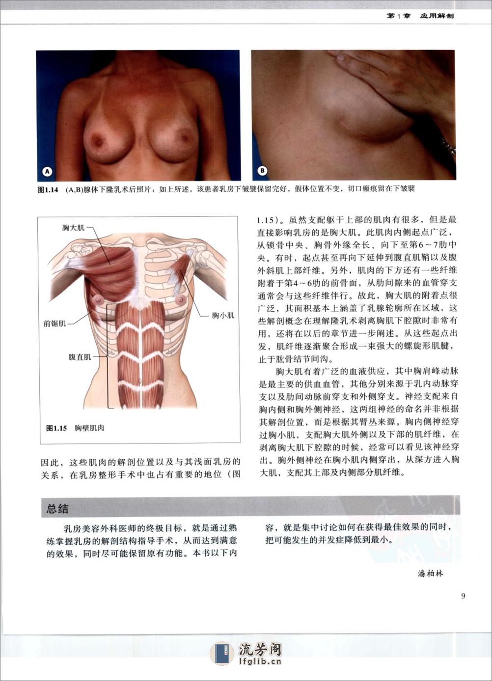 乳房美容外科手术图谱 - 第17页预览图