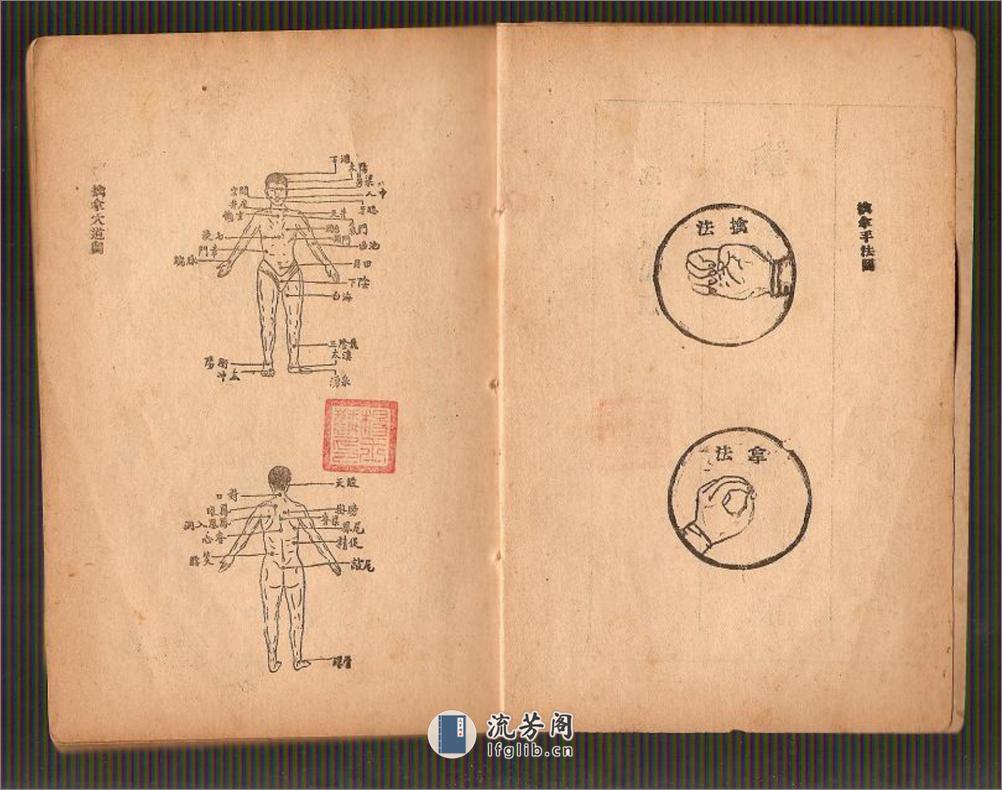 《擒拿法真传秘诀》—金倜生 - 第3页预览图