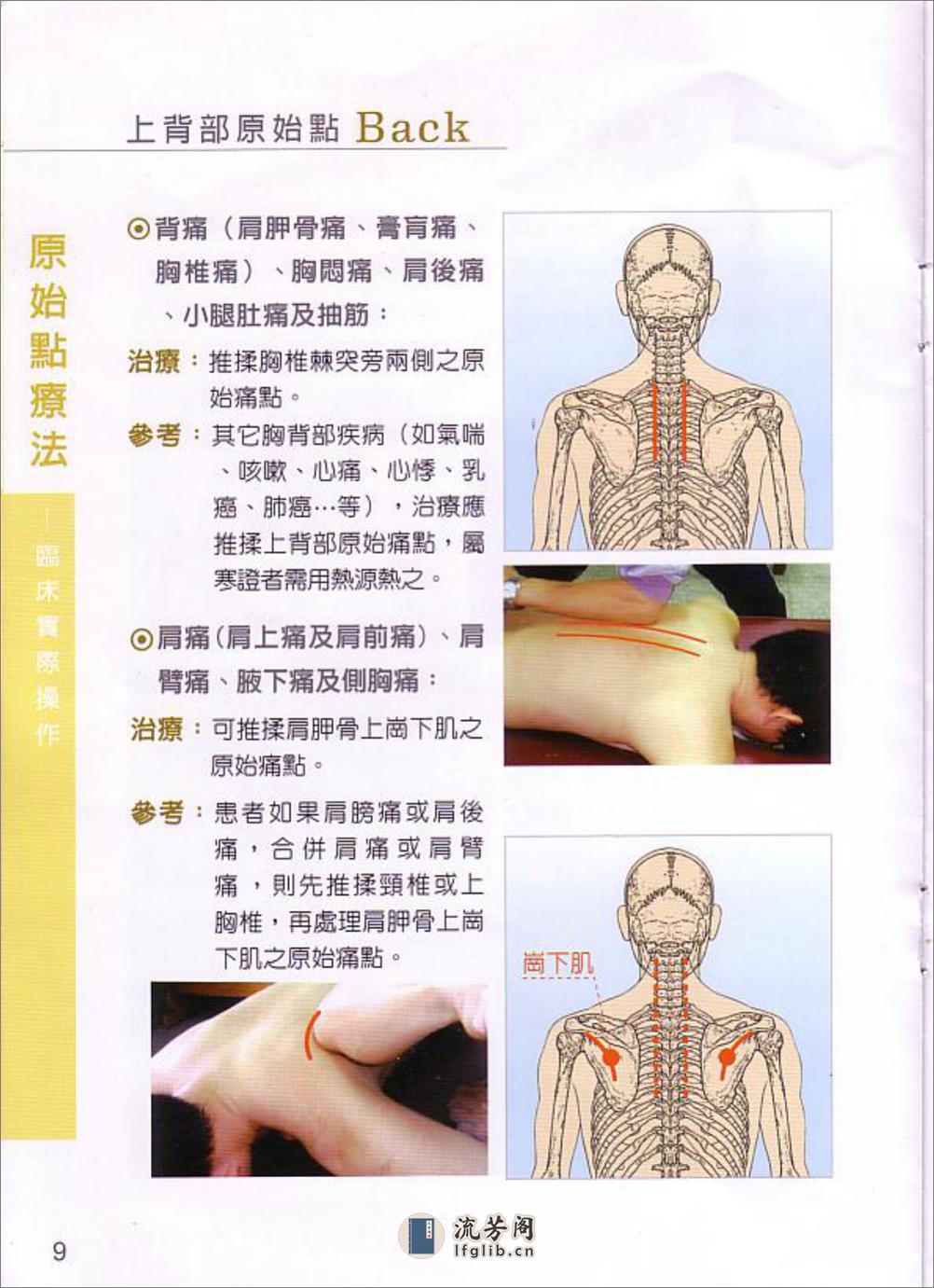 张钊汉疼痛原始点疗法2009版 - 第10页预览图