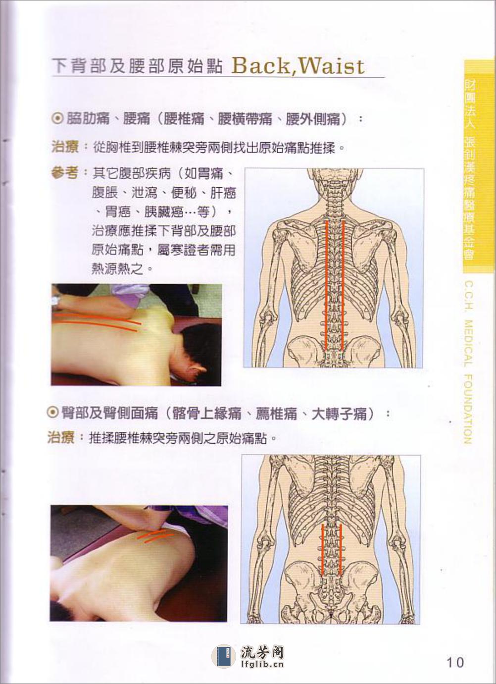 张钊汉疼痛原始点疗法2009版 - 第11页预览图