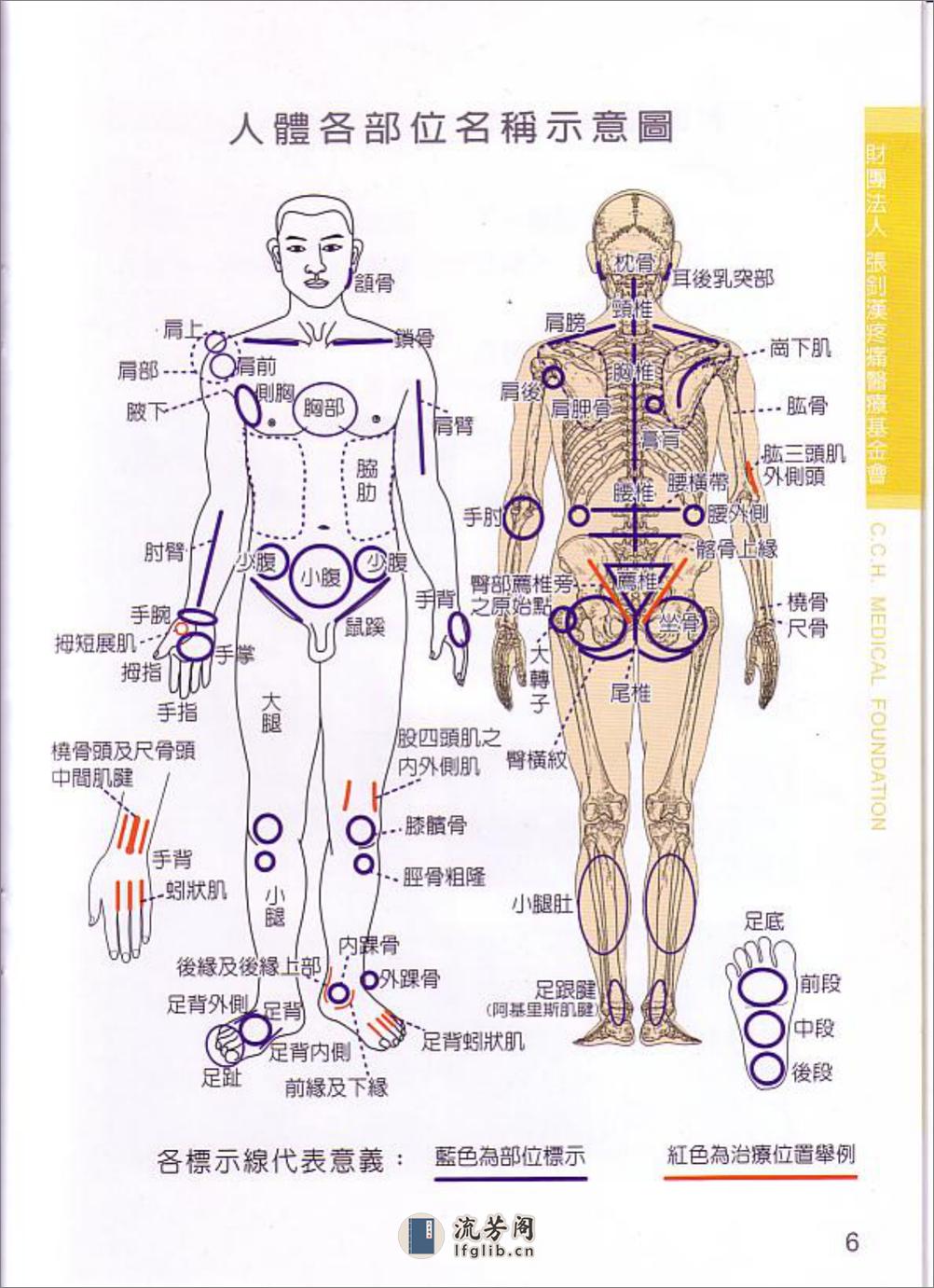 张钊汉疼痛原始点疗法2009版 - 第7页预览图