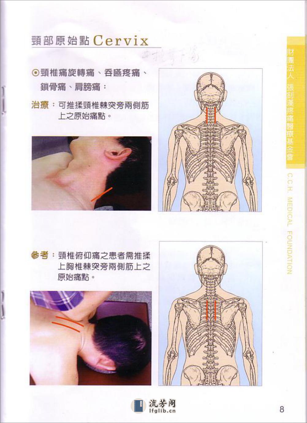 张钊汉疼痛原始点疗法2009版 - 第9页预览图