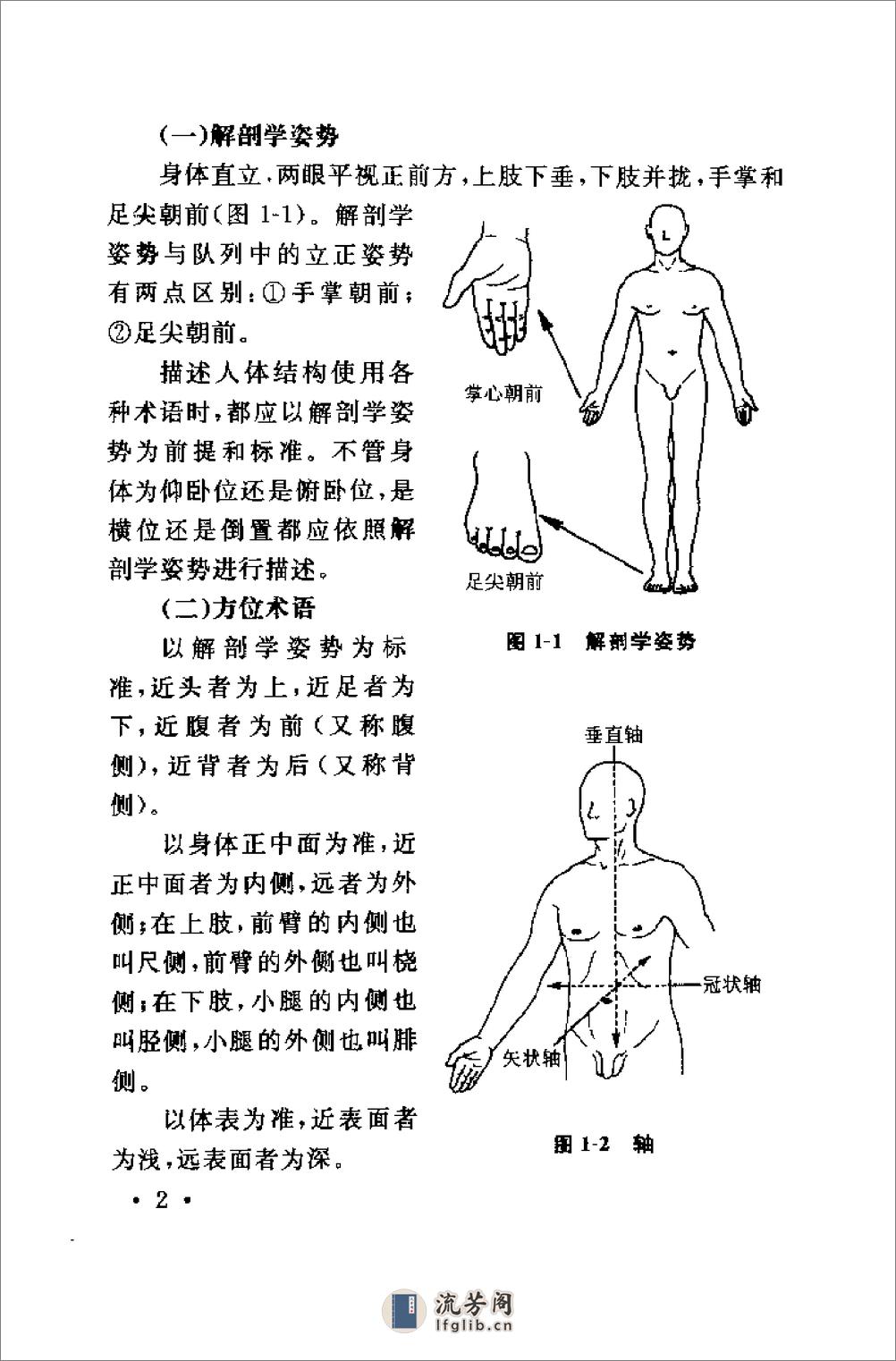 [军警擒拿格斗应用解剖学].陈金源&谢荣厚 - 第14页预览图