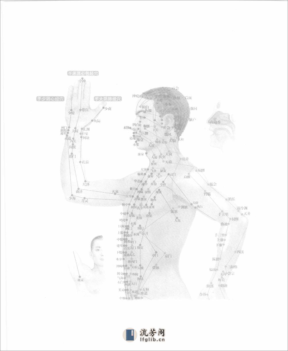 中医如此神奇之经络穴位（高清版） - 第10页预览图