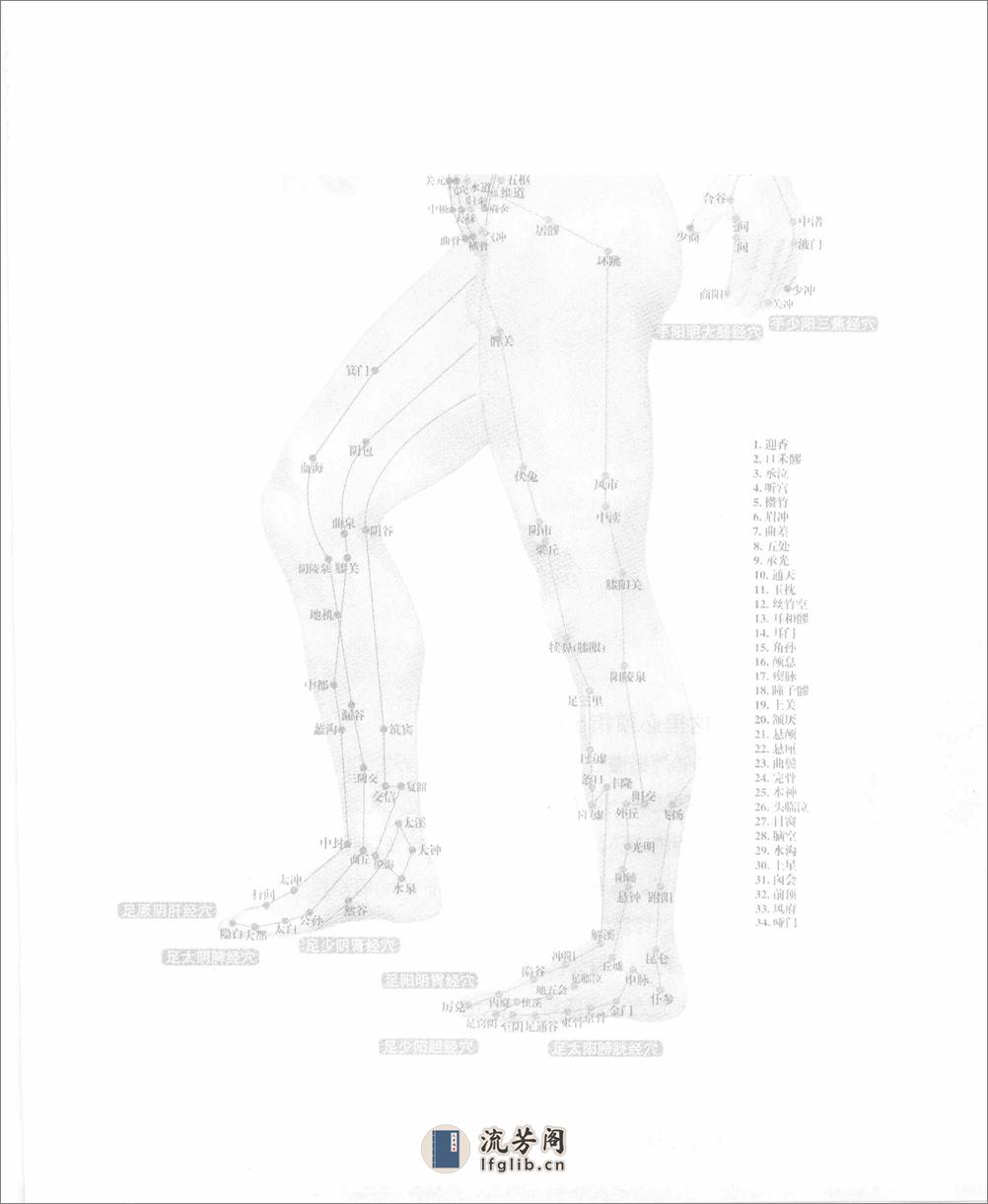 中医如此神奇之经络穴位（高清版） - 第11页预览图