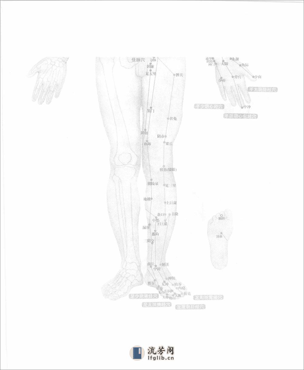 中医如此神奇之经络穴位（高清版） - 第7页预览图