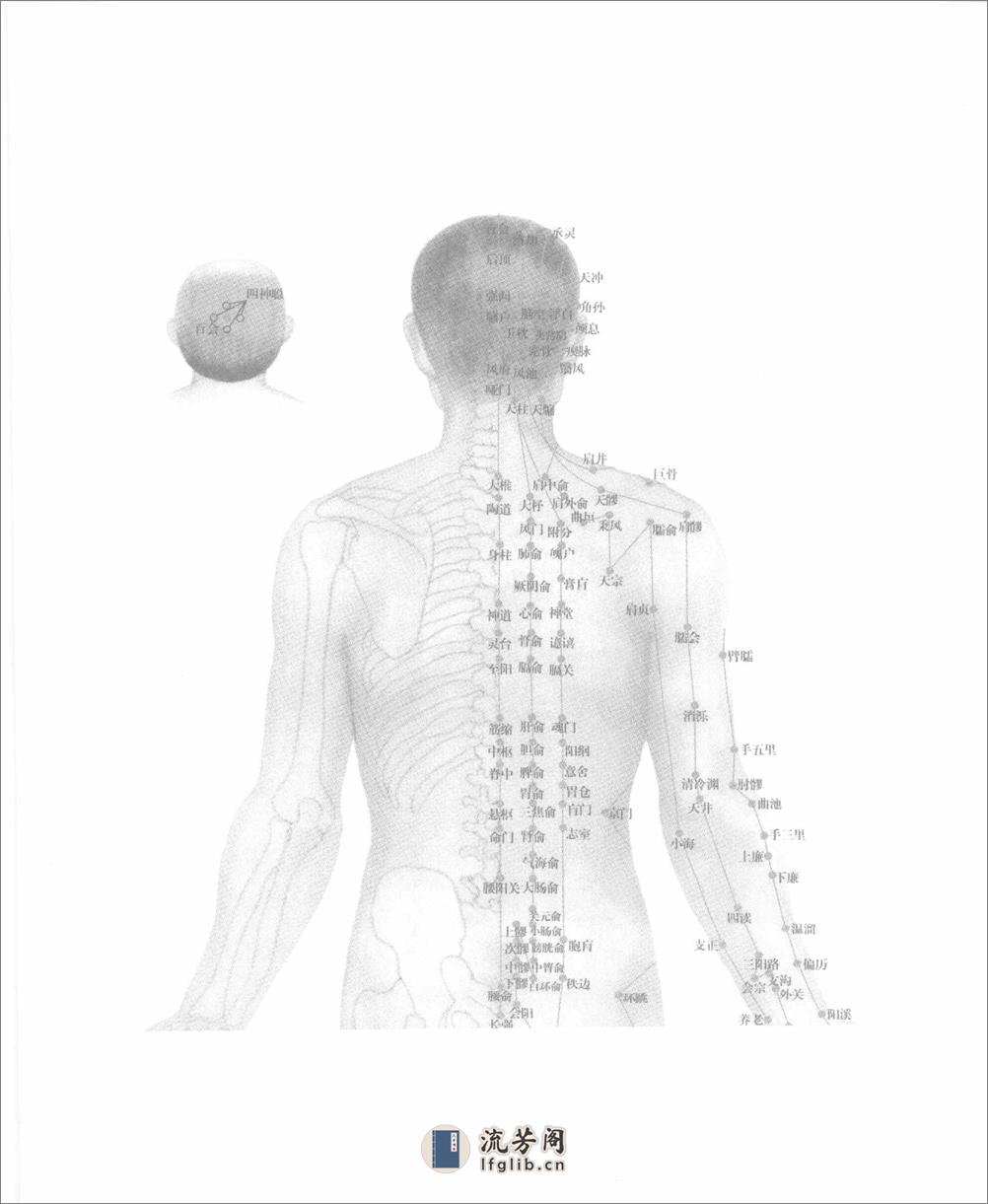 中医如此神奇之经络穴位（高清版） - 第8页预览图