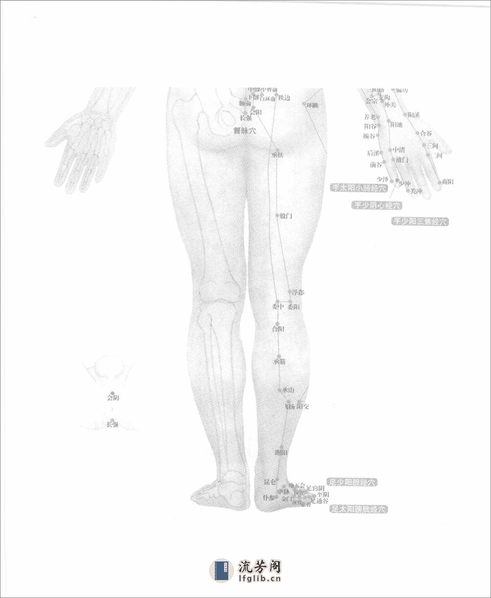 中医如此神奇之经络穴位（高清版） - 第9页预览图