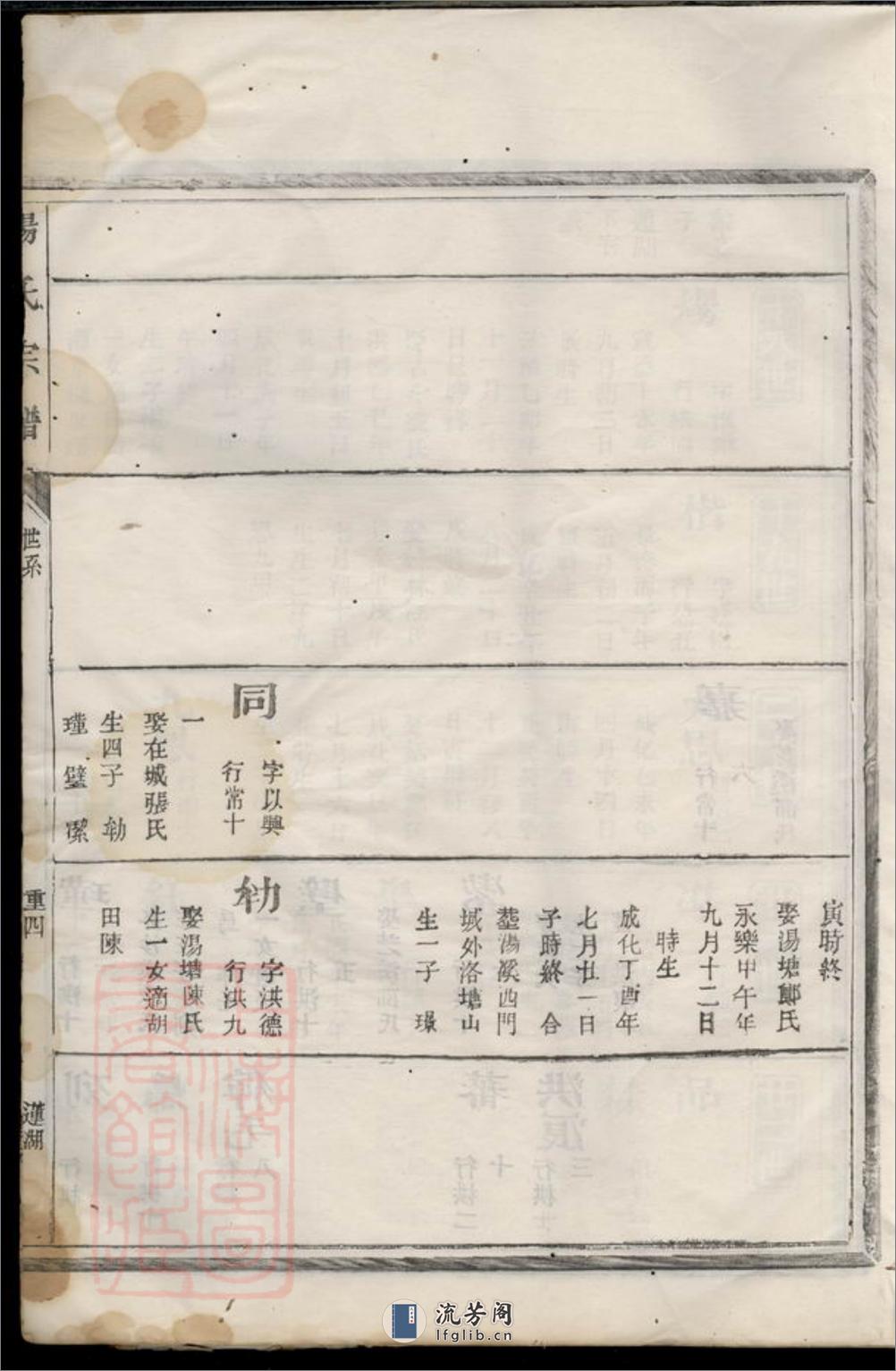 杨氏宗谱：[汤溪] - 第11页预览图