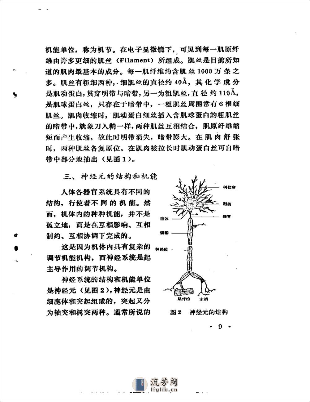 穴位低频电疗 - 第14页预览图