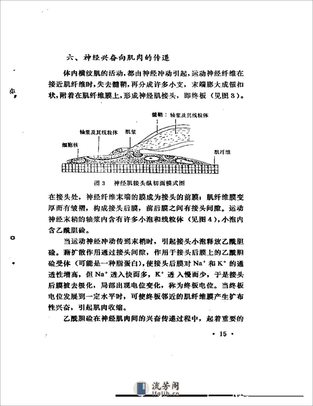 穴位低频电疗 - 第20页预览图