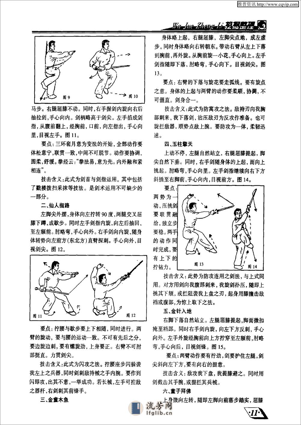 《武当绝命剑·第二路（1）》郭树璞 - 第3页预览图