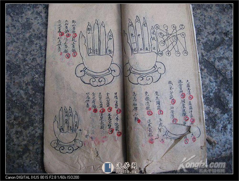 道教掌诀手抄本 - 第19页预览图