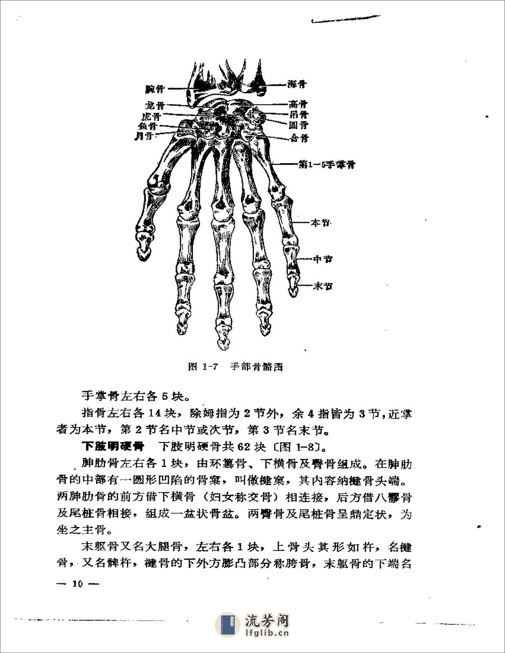 刘寿山正骨经验（修订版）1966 - 第18页预览图