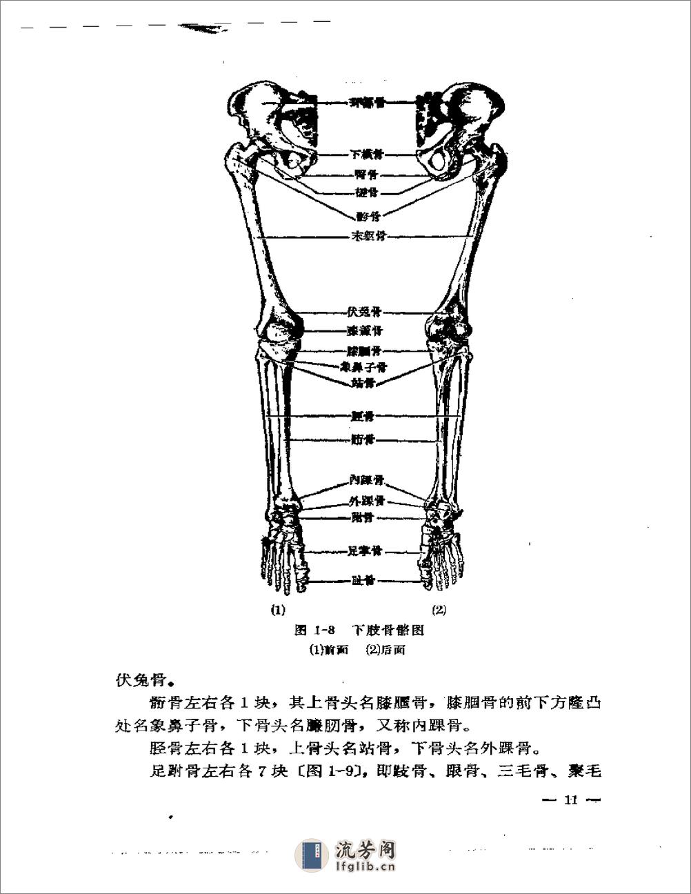 刘寿山正骨经验（修订版）1966 - 第19页预览图