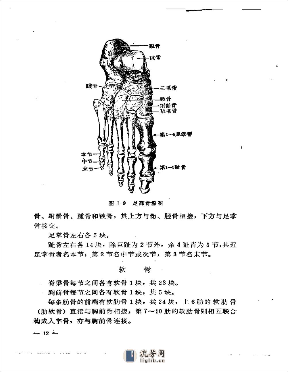 刘寿山正骨经验（修订版）1966 - 第20页预览图