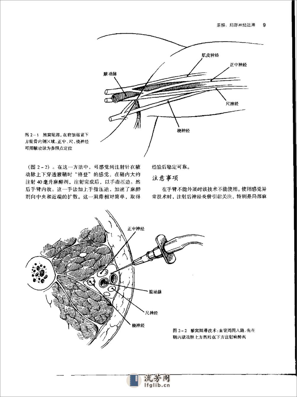 整形外科手术学 - 第19页预览图