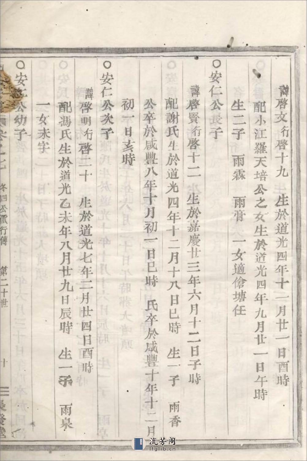 毛氏宗谱：[会稽] - 第20页预览图