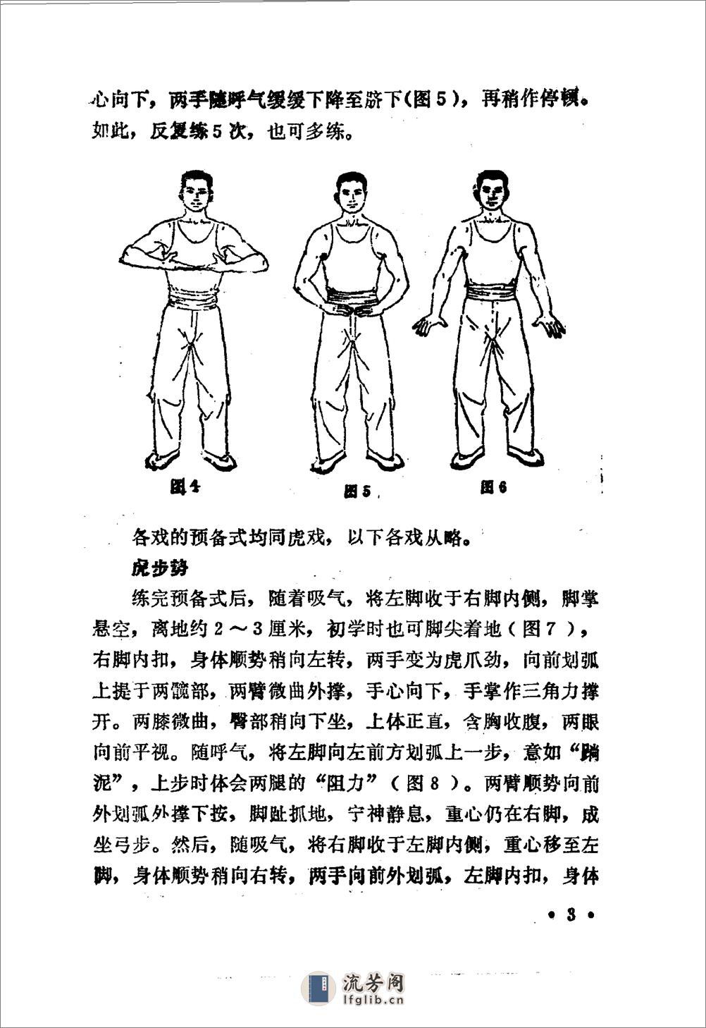 [中国气功2].马有忠 - 第4页预览图