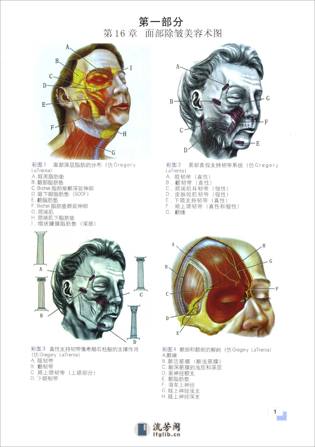 现代美容外科学柳大烈. - 第12页预览图