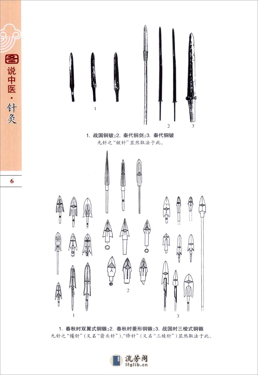 图说中医：针灸 - 第15页预览图