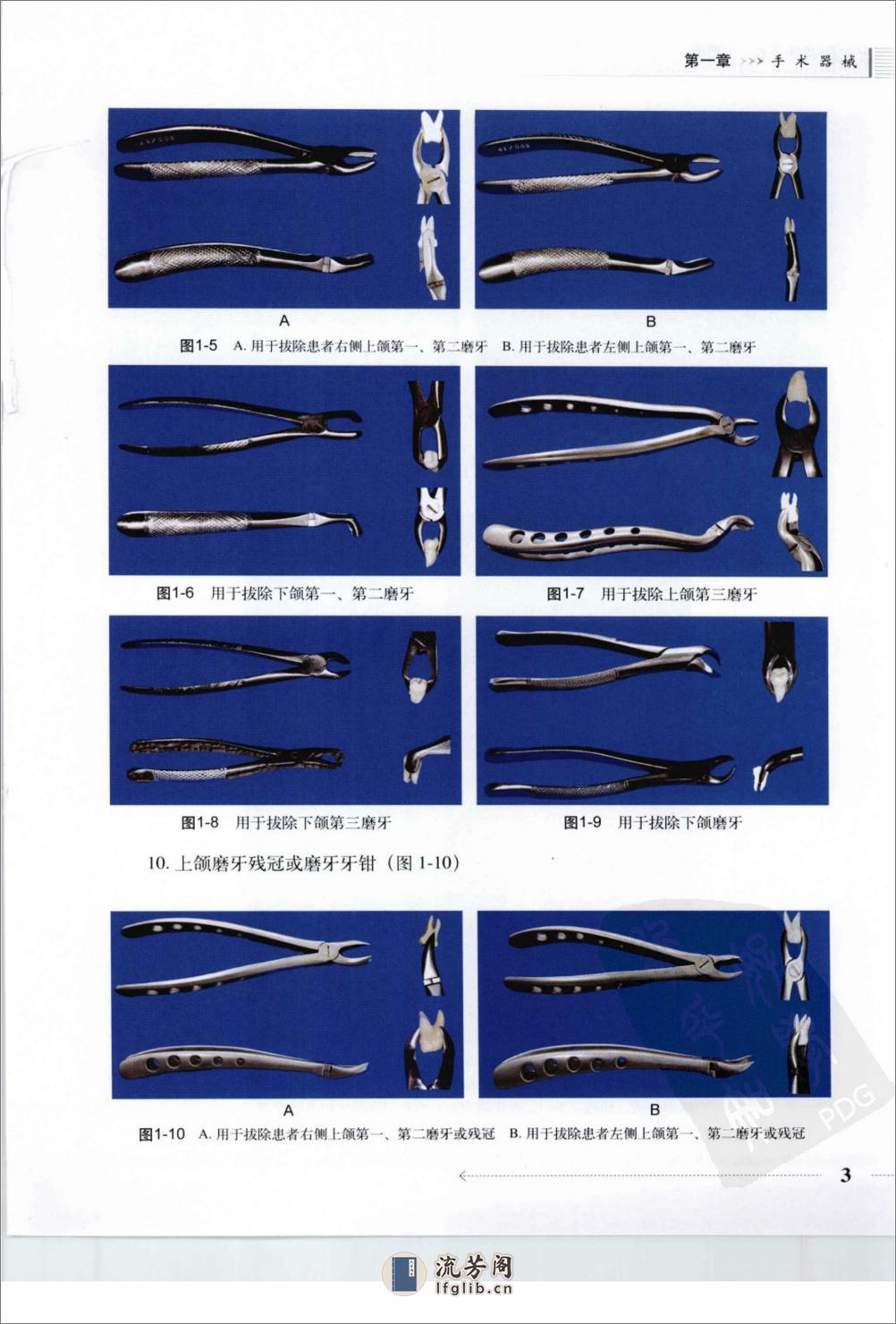 标准拔牙手术图谱- - 第17页预览图